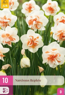 10 bloembollen narcissus replete
