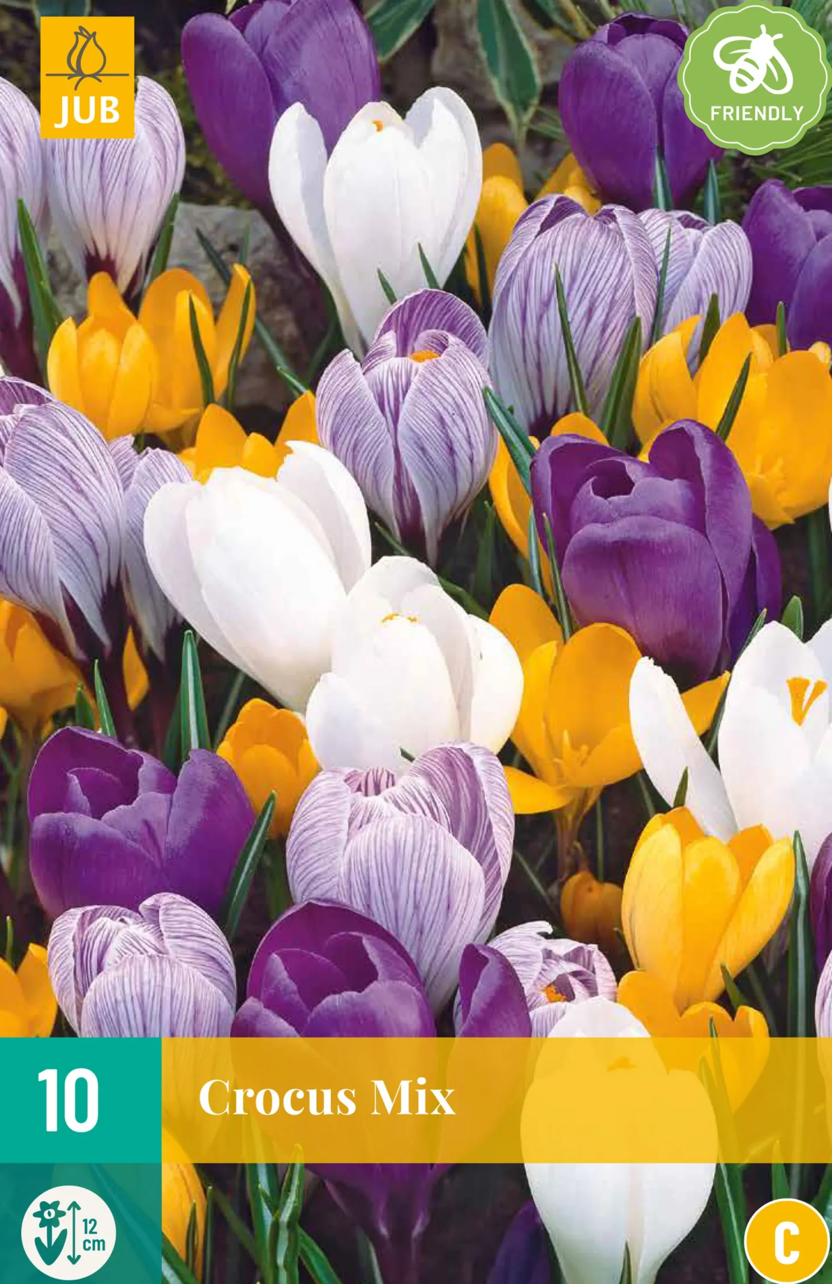 10 crocus grootbloemig mix
