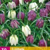 30 fritillaria meleagris mix