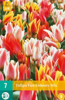 7 tulipa fun colours
