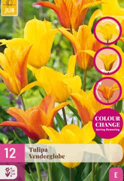12 tulipa vendeeglobe
