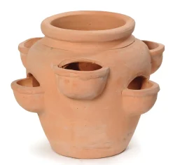Aardbeienpot