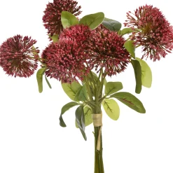 Allium boeket