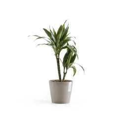 Amsterdam 20cm taupe met waterreservoir