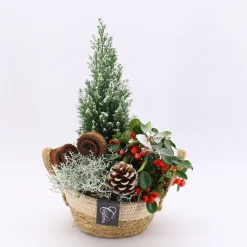 Arrangement Gaultheria creatie