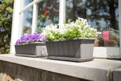 Balkonbak Super 50 cm Antraciet