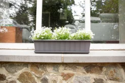 Balkonbak Super 50 cm Antraciet