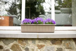 Balkonbak Super 40 cm Taupe