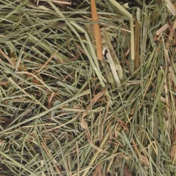 Berghooi met brandnetel 500gr