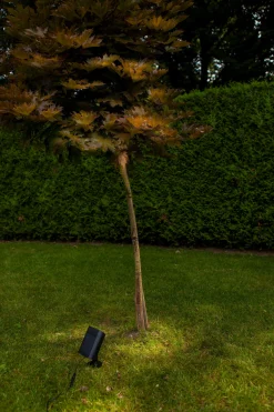 Bingo solar prikspot