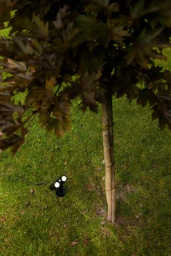 Bingo solar prikspot