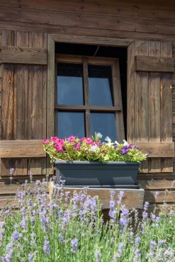 Bloembak relax 60cm antraciet