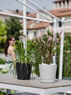 Bloempot Orione 24cm bosgroen