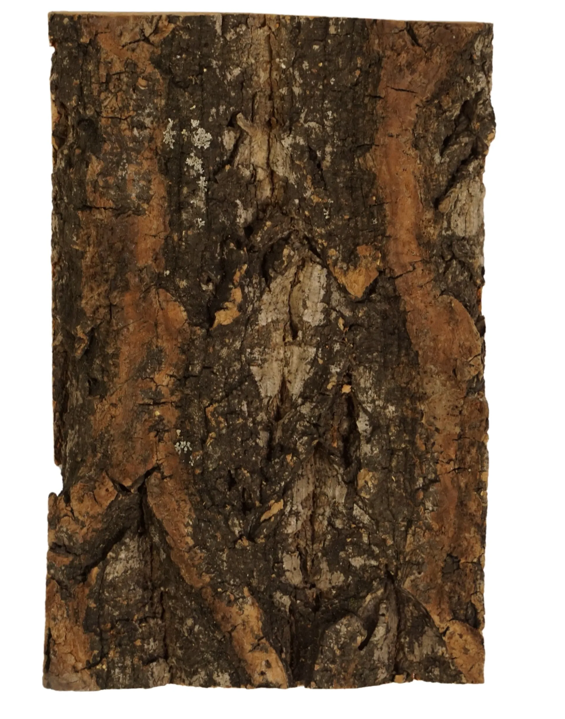 Boomschors kurk 12x18cm