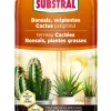 Cactus-, bonsai- en vetplantenpotgrond 6L