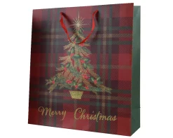 Cadeautas papier rechthoekig