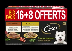 Cesar alu 2 variaties 16+8 gratis