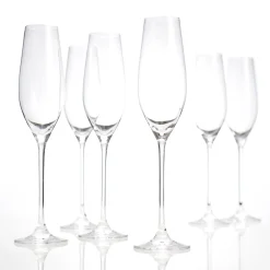 Champagneglas cuvée - set van 6