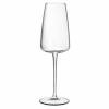 Champagneglas set van 4 stuks
