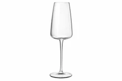 Champagneglas set van 4 stuks