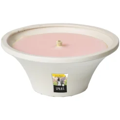 Citronellakaars in witte schaal - Summer Blossom