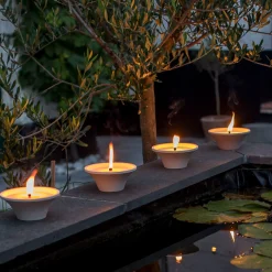 Citronellakaars in witte schaal - Asian Garden