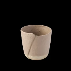 Clove Gr orch pot D16