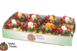 Compositie pompoen arrangement