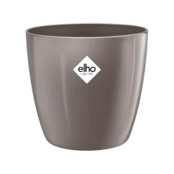 Diamond orchidee hoog 20cm