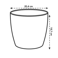 Diamond orchidee hoog 20cm