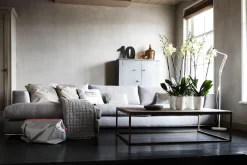 Diamond orchidee hoog 12,5cm