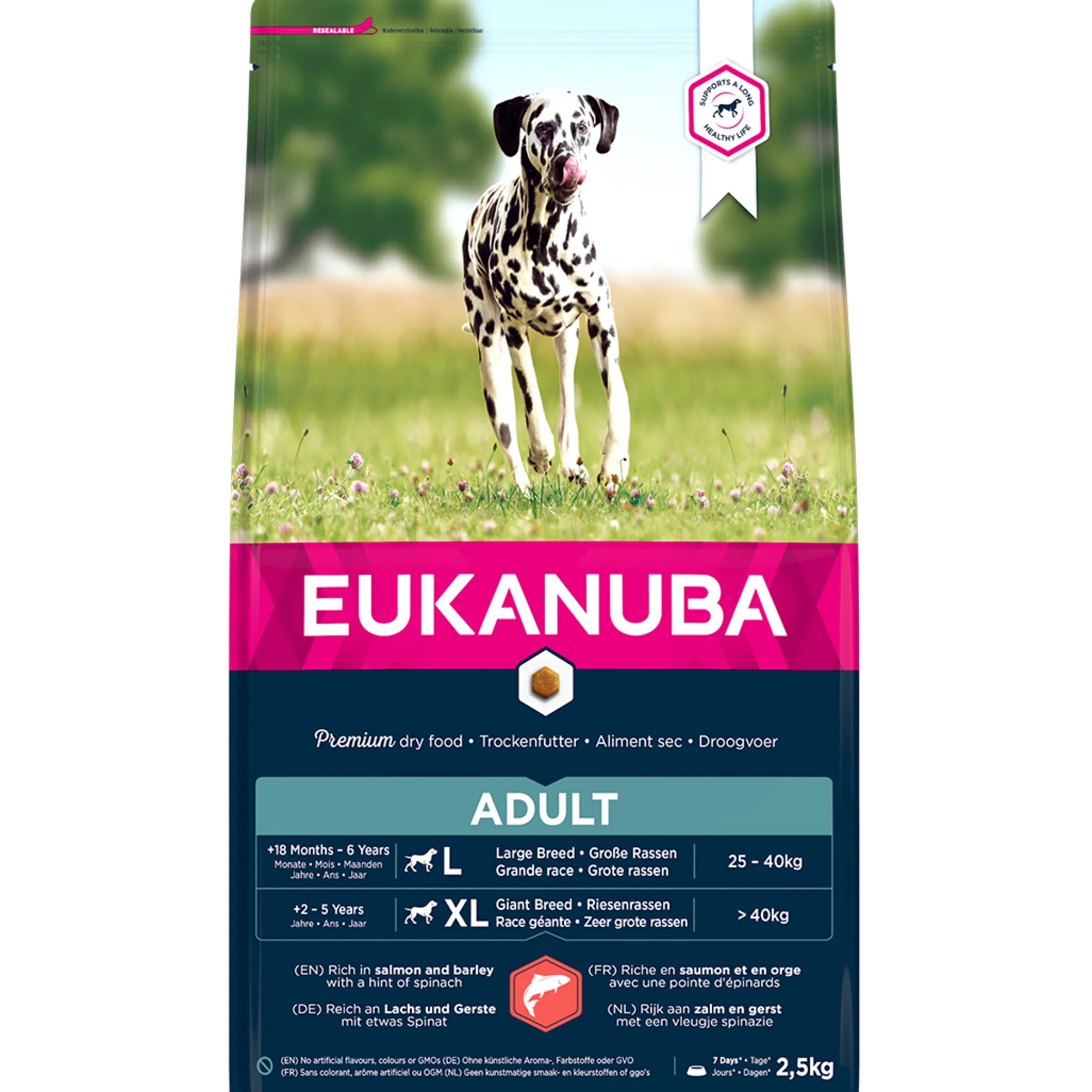 Dog adult large salmon