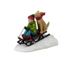 Doggone downhill sledding
