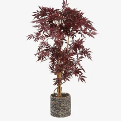 Esdoorn in plastic pot - h150xd80