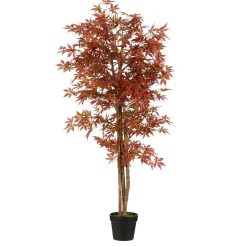 Esdoorn in pot - h165xd80