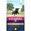 Euk dog developing junior large breed