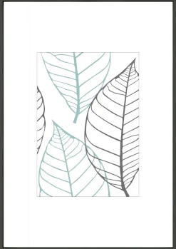 fotolijst brasil zwart (fsc 100%) 21x30 cm