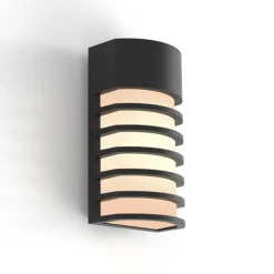 Fulton wandlamp mat zwart e27 40w