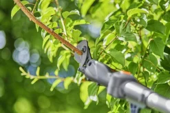 Gardena telescopische takkenschaar