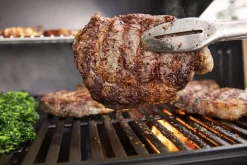 Gasbarbecue Genesis E-315, Black