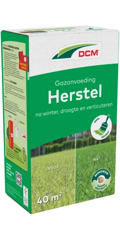 Gazonvoeding Herstel