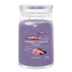 Geurkaars stargazing sign l