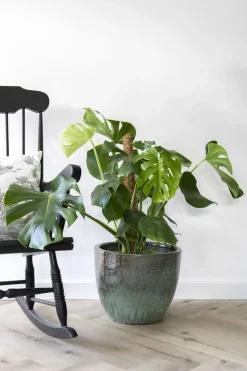 Glazed egg pot moss green