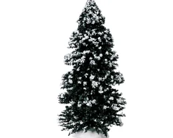 Groenblijvende boom, groot