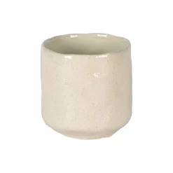 Grote orchidee pot glisten