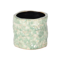 Grote orchidee pot reef