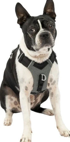 Harnas kurgo journey air tuigje -s