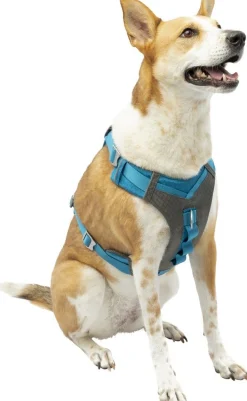 Harnas kurgo journey air tuigje bl-l