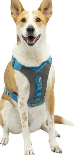 Harnas kurgo journey air tuigje bl-l