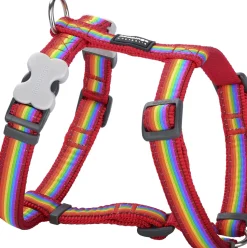 Harnas rd rainbow -l